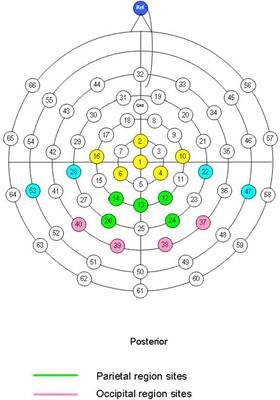 The Moderating Effect of Self-Reported State and Trait Anxiety on the Late Positive Potential to Emotional Faces in 6–11-Year-Old Children